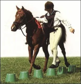 De quelle discipline questre s'agit-il ?