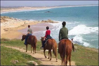 De quelle discipline questre s'agit-il ?