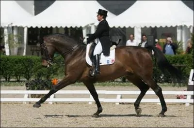 De quelle discipline questre s'agit-il ?