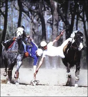 De quelle discipline questre s'agit-il ?