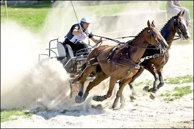 De quelle discipline questre s'agit-il ?