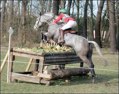 De quelle discipline questre s'agit-il ?