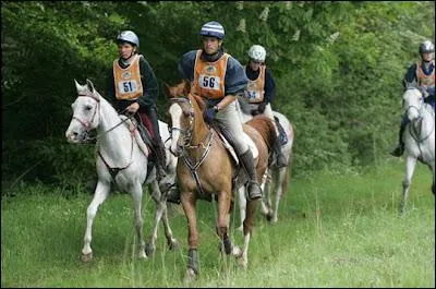 De quelle discipline questre s'agit-il ?