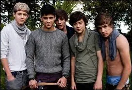 Dans   La Bote  Questions , Harry Styles dit en franais :