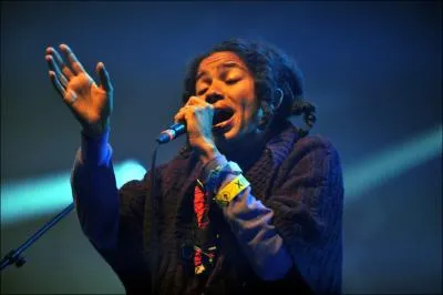 De quelle chanson Nneka a-t-elle fait une reprise en reggae, au Phenix lors de la soire Groove'n Beat ?