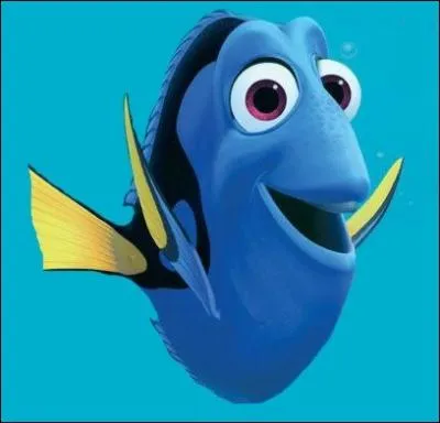 Que chante tout le temps Dory ?