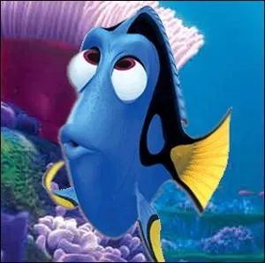 Quelle est la devinette que Dory rpte plusieurs fois  Marin ?