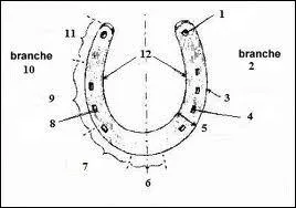 Quelle est la partie 7 de ce fer ?