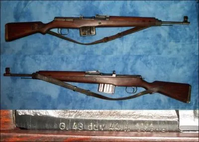 Quelle est cette arme ?