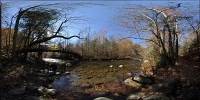 Quel animal, depuis quelques temps, est rintroduit en Allemagne, et peut-tre bientt en Normandie ?