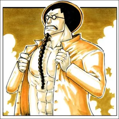 Aprs la grande guerre de Marineford, qui deviendra le nouvel amiral en chef de la Marine ?