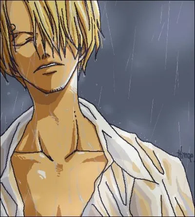 Quels sont les principes de Sanji ? ( plusieurs rponses possibles )