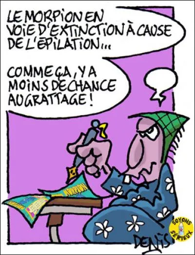 Quel animal change de sexe en une seconde ?