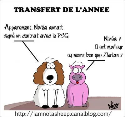 L'homme le plus riche du monde va mourir, il demande à son jeune fils ce qui lui ferait plaisir : Je voudrais des costumes de Mickey, dit l'enfant, alors il lui achète ...
