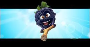 Quel est le nom de ce fruit Oasis ?