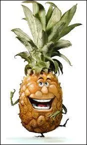 Quel est le nom de ce fruit Oasis ?