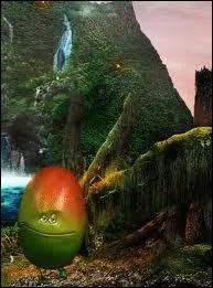Quel est le nom de ce fruit Oasis ?