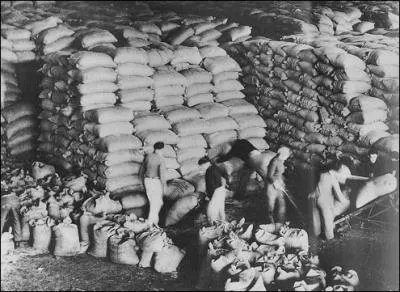 Quel plan conomique fut apport par les U. S. A aux Etats dvasts par la guerre aprs la Seconde Guerre mondiale ?