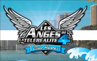 Sur quelle chaine est diffuse cette mission ?