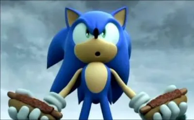 Quel est le plat prfr de Sonic et Tails ?