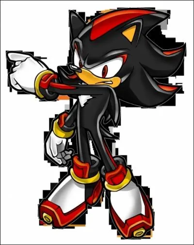 Qui est l'oppos de Sonic ?