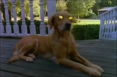 Au gnrique de quelle srie cette image renvoie-t-elle ?