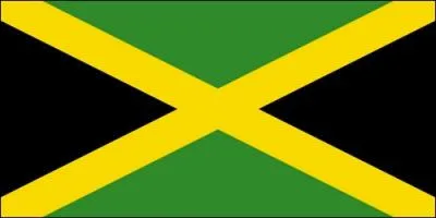 Le pays reprsent ici est :