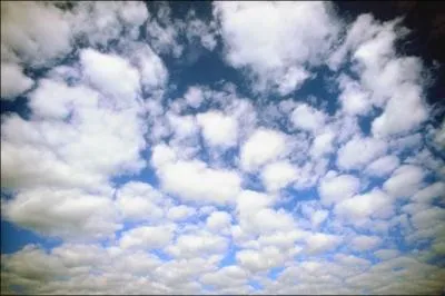 Science : 1% de l'air atmosphrique est une combinaison de gaz rares. Quel gaz,  lui seul, en est le principal composant ?