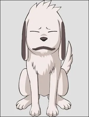 Comment se nomme le chien de Kiba ?