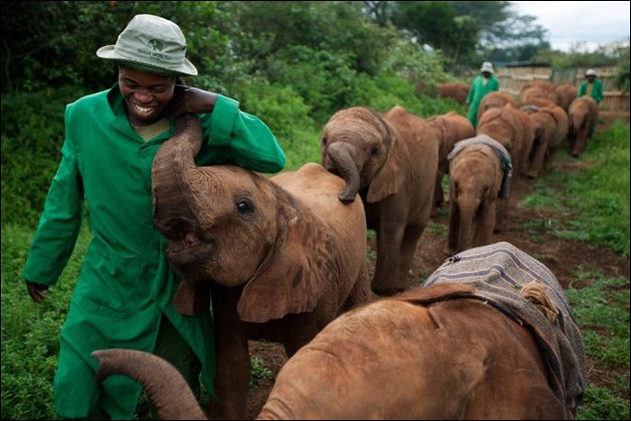 quel animal porte son petit 2 ans