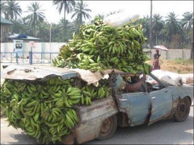 En Afrique il fait chaud, pas grave, en Gambie, on a la banane !