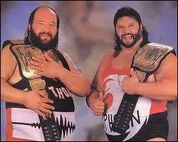 Qui est ce catcheur de la WWF  droite ?