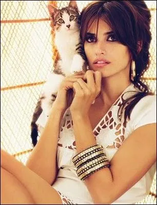 Le joli minois aux yeux verts de ce petit chat qui se dresse sur l'paule de la star ?