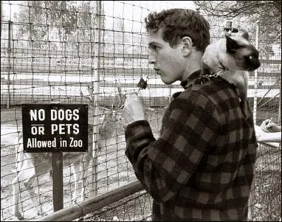 Quelle star se promne ainsi avec son chat siamois ?