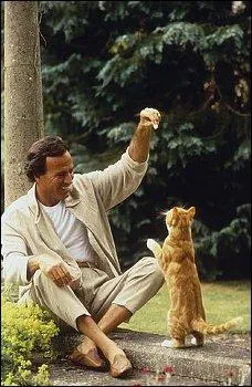 Qui est cette star dcontracte qui joue avec son chat ?