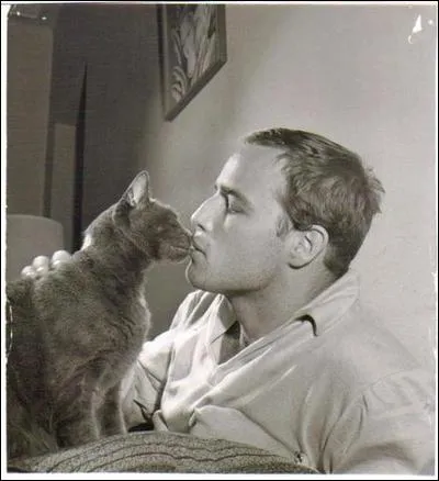 Qui est donc l'acteur rput qui fait ici des mamours avec son chat ?