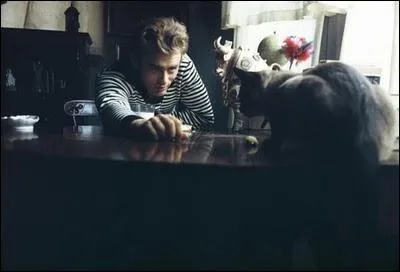 Encore un acteur rput, qui s'amuse ici des attitudes du chaton sur son bureau. Qui est-il ?