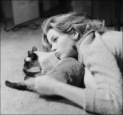 Il est vrai qu'on se place souvent au niveau du sol pour accder  la grce du chat. Qui est ici sur le sol, avec son chat ?