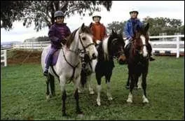 Comment s'appelle le cheval que Lisa monte ?