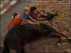 Comment Cobalt est-il mort ?