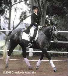 Comment s'appelle le cheval de Dorothe ?