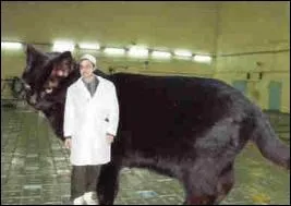 Combien lui faut-il de nourriture par jour ?