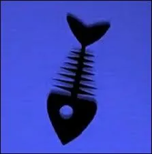 De quel poisson est constitu le ROllmops ?