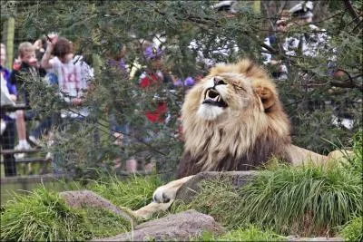 Peu importe l'ge que vous avez, je suis persuade que vous aimez vous y rendre. Je parle bien sr du :