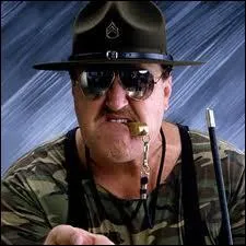 Quel est ce catcheur de la WWF ?