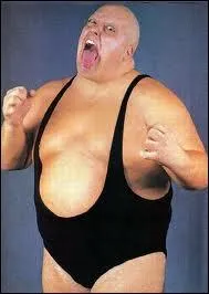 Quel est ce catcheur de la WWF ?