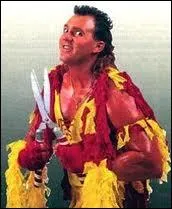 Quel est ce catcheur de la WWF ?