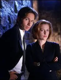 Quelle grande srie, novatrice (pas d'clairage aveuglant et de maquillage outrancier, des rapports humains subtils, de l'humour... ), et deux excellents acteurs, David Duchovny et Gillian Anderson