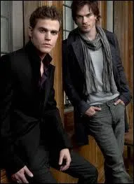 Un duo trs percutant, distribu au dbut dans un classique partage bon et mchant, mais les frontires se brouillent ensuite, pour ces deux vampires qui sont ?