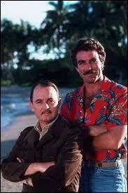 Encore un duo trs piquant, celui du parfait gentleman Higgins et du coolissime dtective priv Thomas MAGNUM. Le plus de la srie est qu'elle se passe ?
